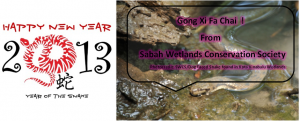SWCS.CNY.Greeting2013