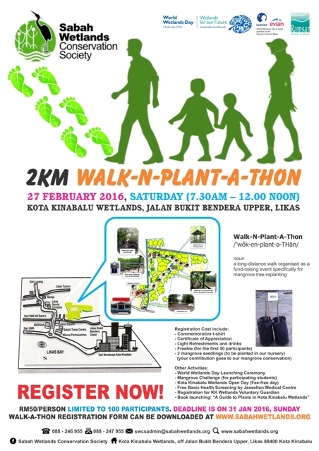 Walk-a-thon-poster